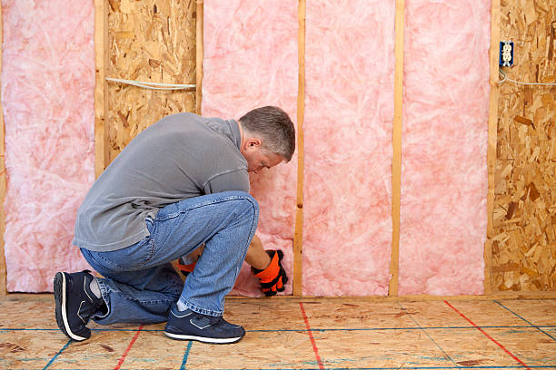 Types of Insulation We Offer in Lake Arrowhead, CA