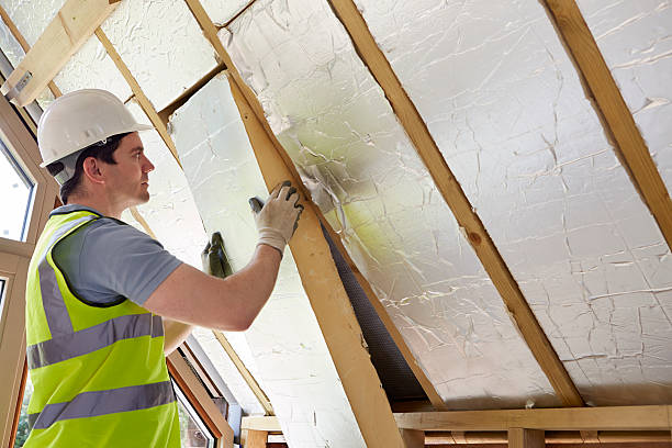 Best Eco-Friendly Insulation in Lake Arrowhead, CA